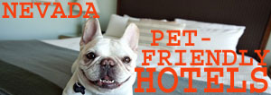 Pet Friendly Hotels